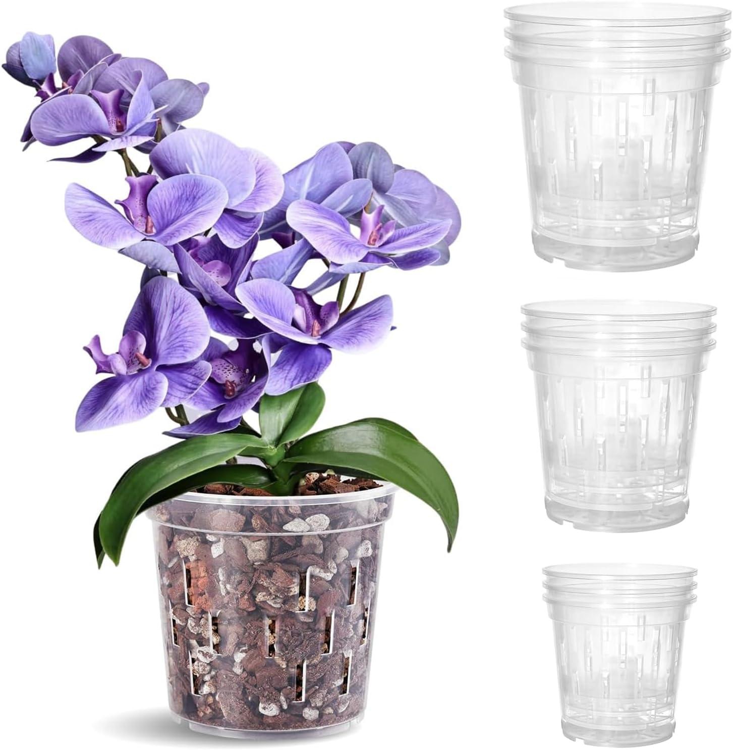Unbeatable Orchid Pots: Tested Versus Trending Choices…