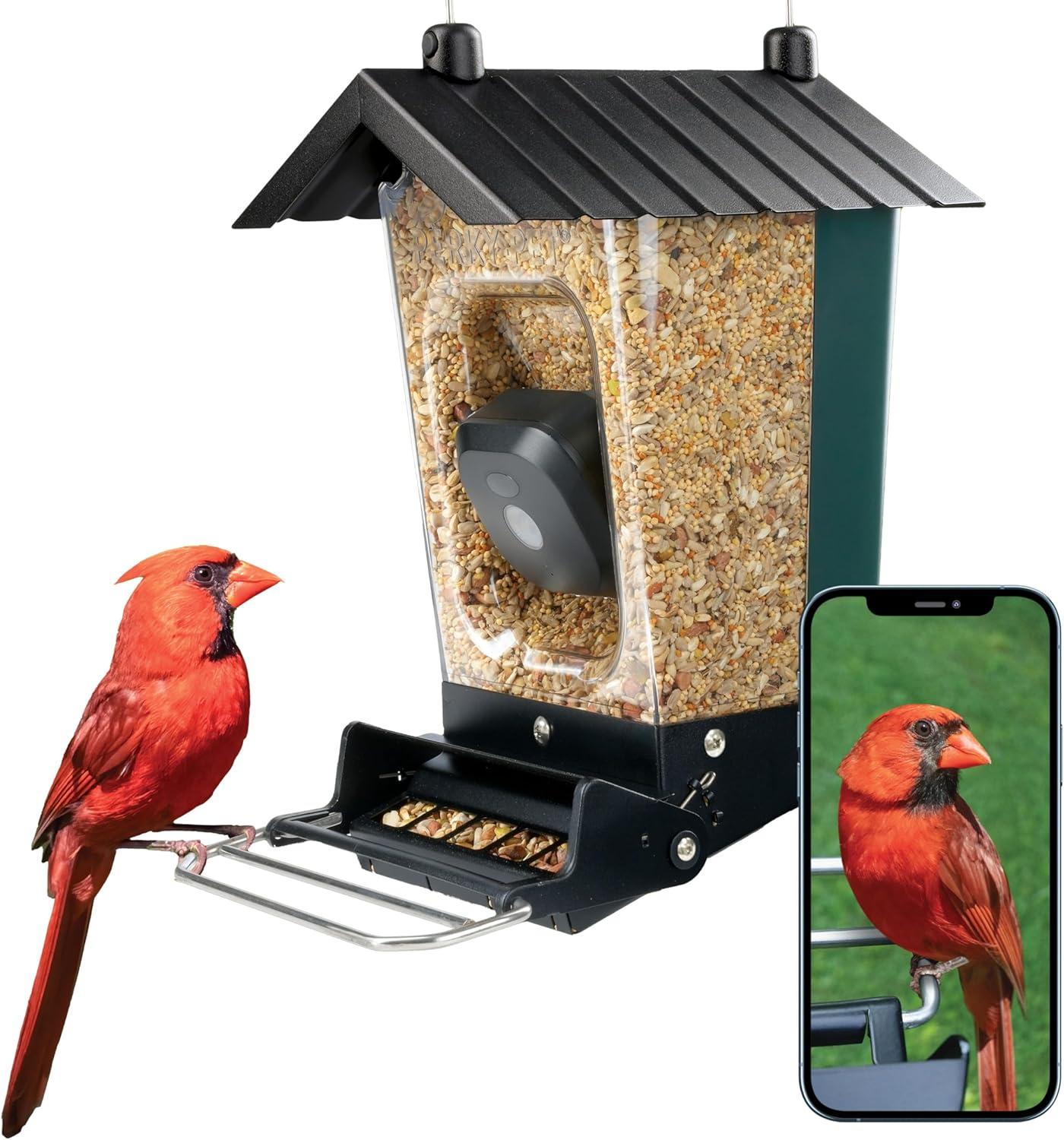 Smart Bird Feeder Showdown: Perky-Pet vs. Trends