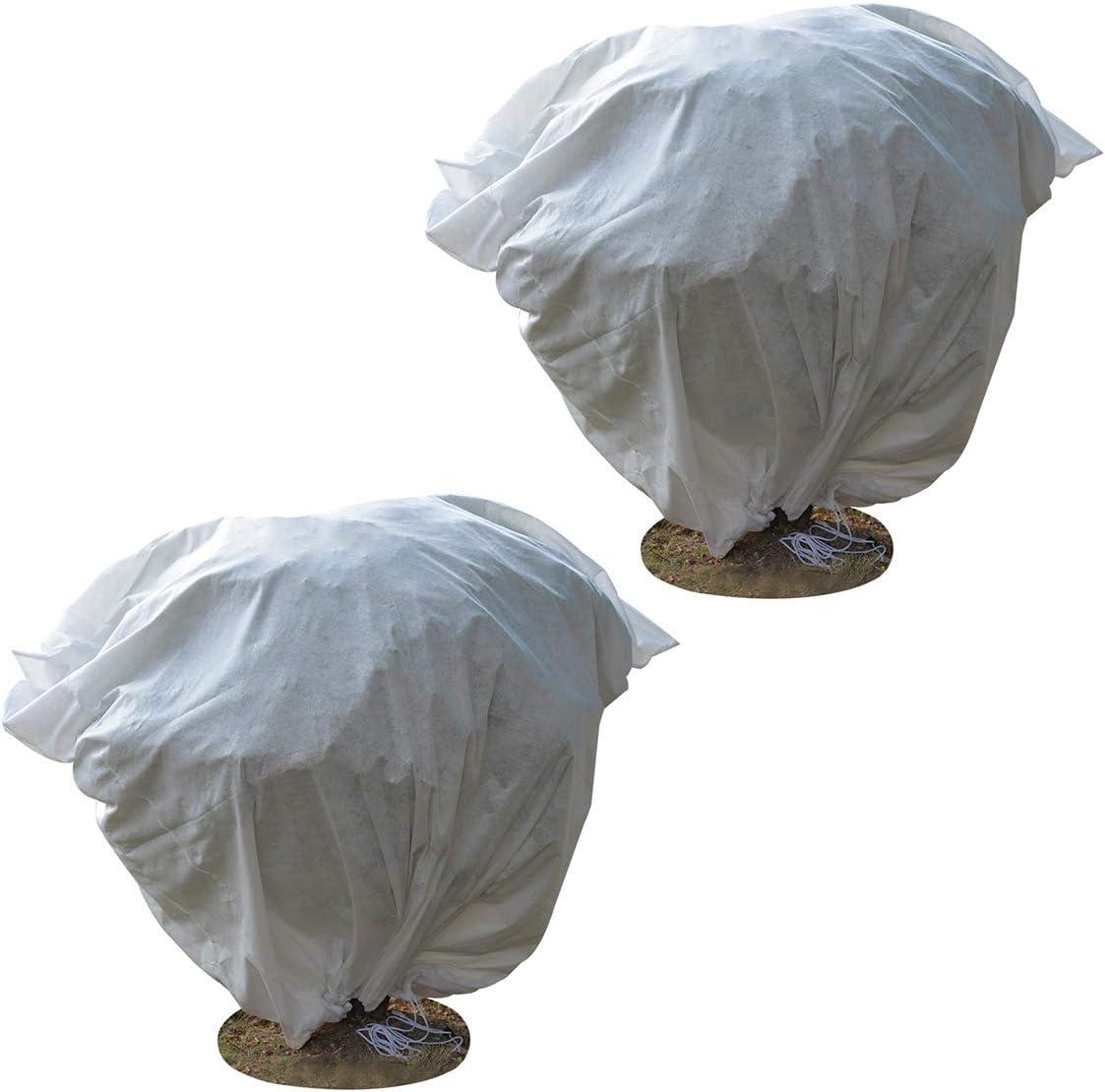 Winter Showdown: Tested Frost Protection for Your Garden Plants
