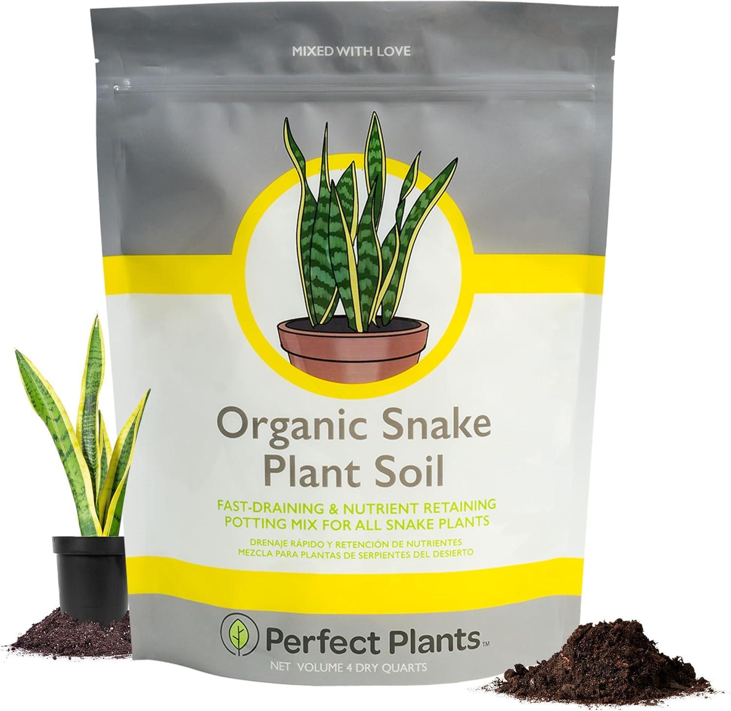 Perfect Plants Coco Coir Tested Versus Trendy Snake Plants: Best Potting Mix Insight