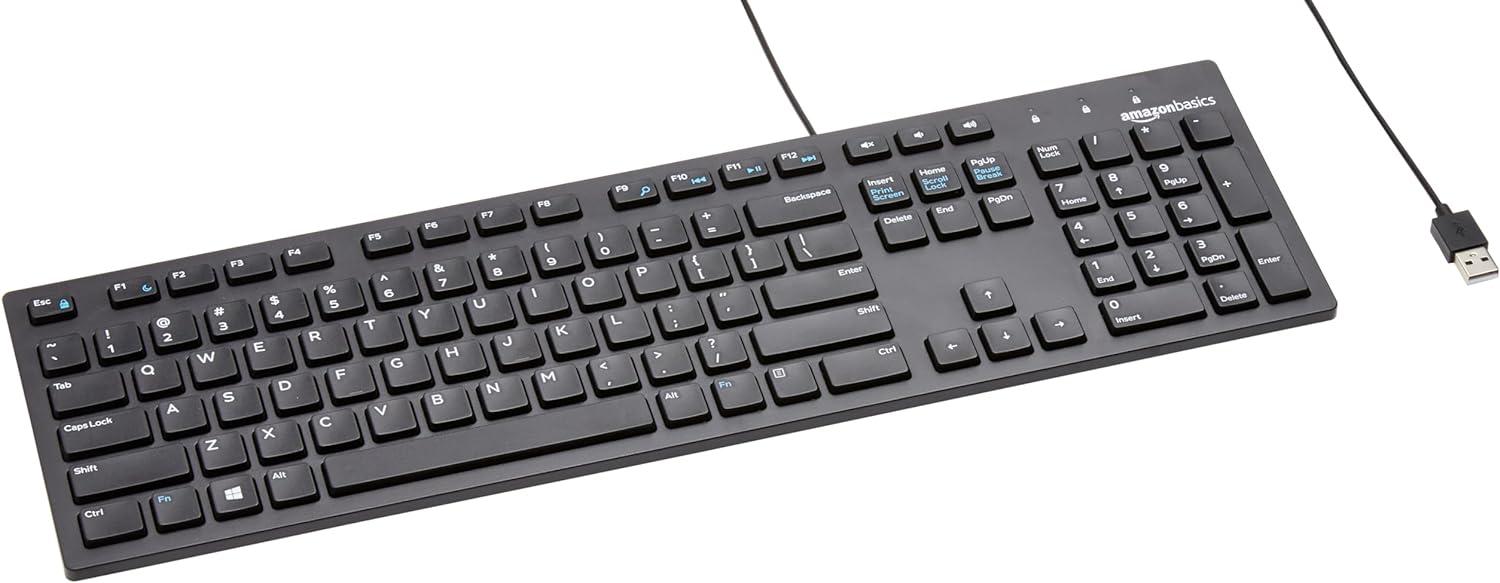 Amazon Basics Keyboard Versus Brand—Surprising T Compatibility... Match Tested Here!