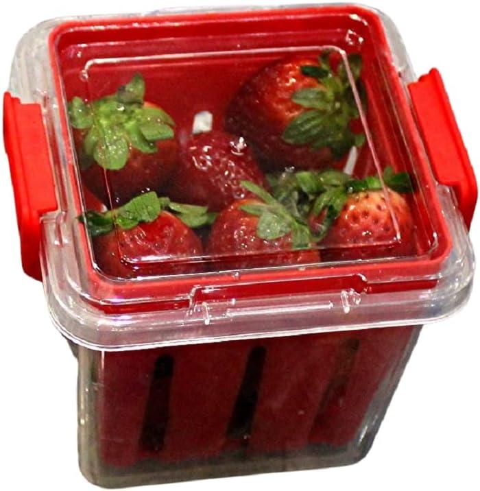Airlifted Berries Storage: compared Airflow &lid… Trendy Produce Savvy!