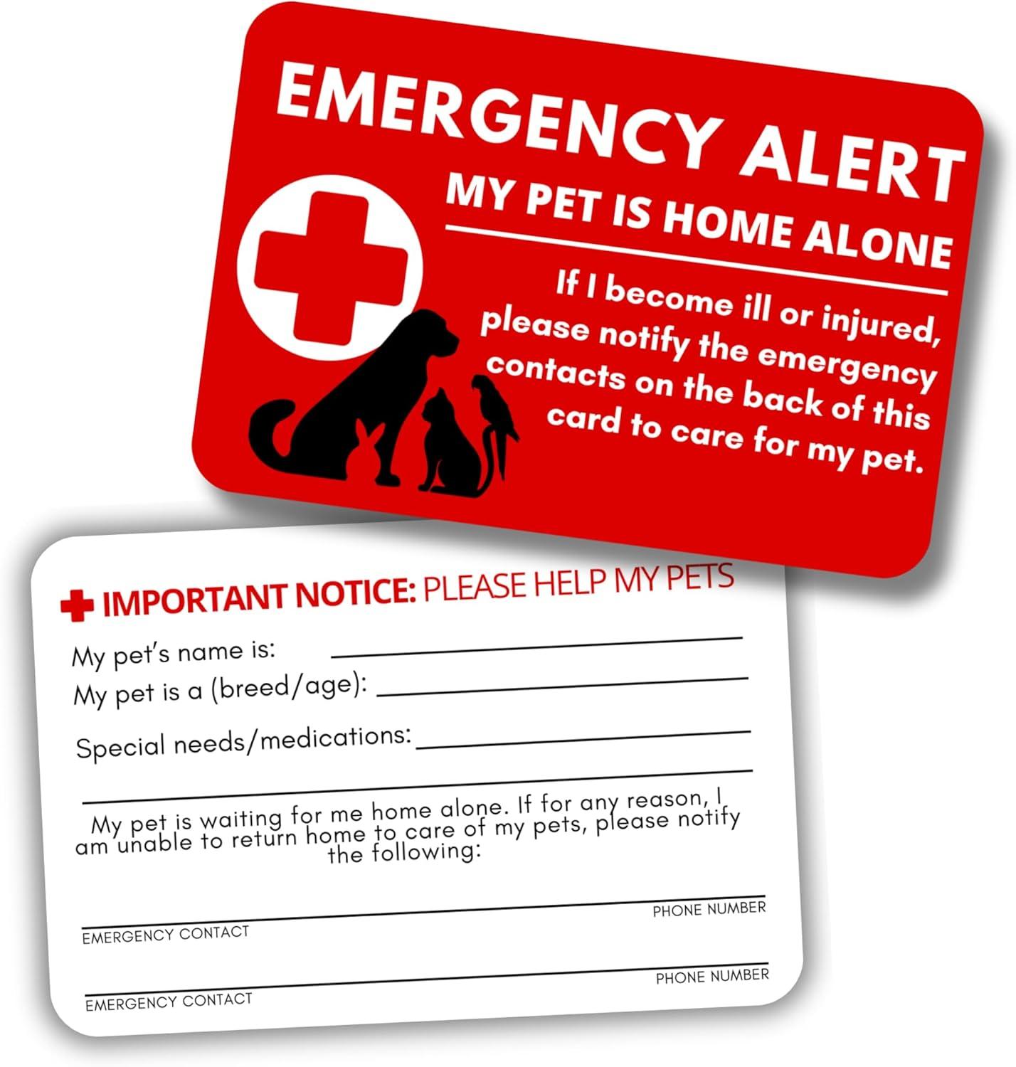 Pet Emergency ICE Vet Card vs Keychain: Tested For Home Alone... A Smart Choice