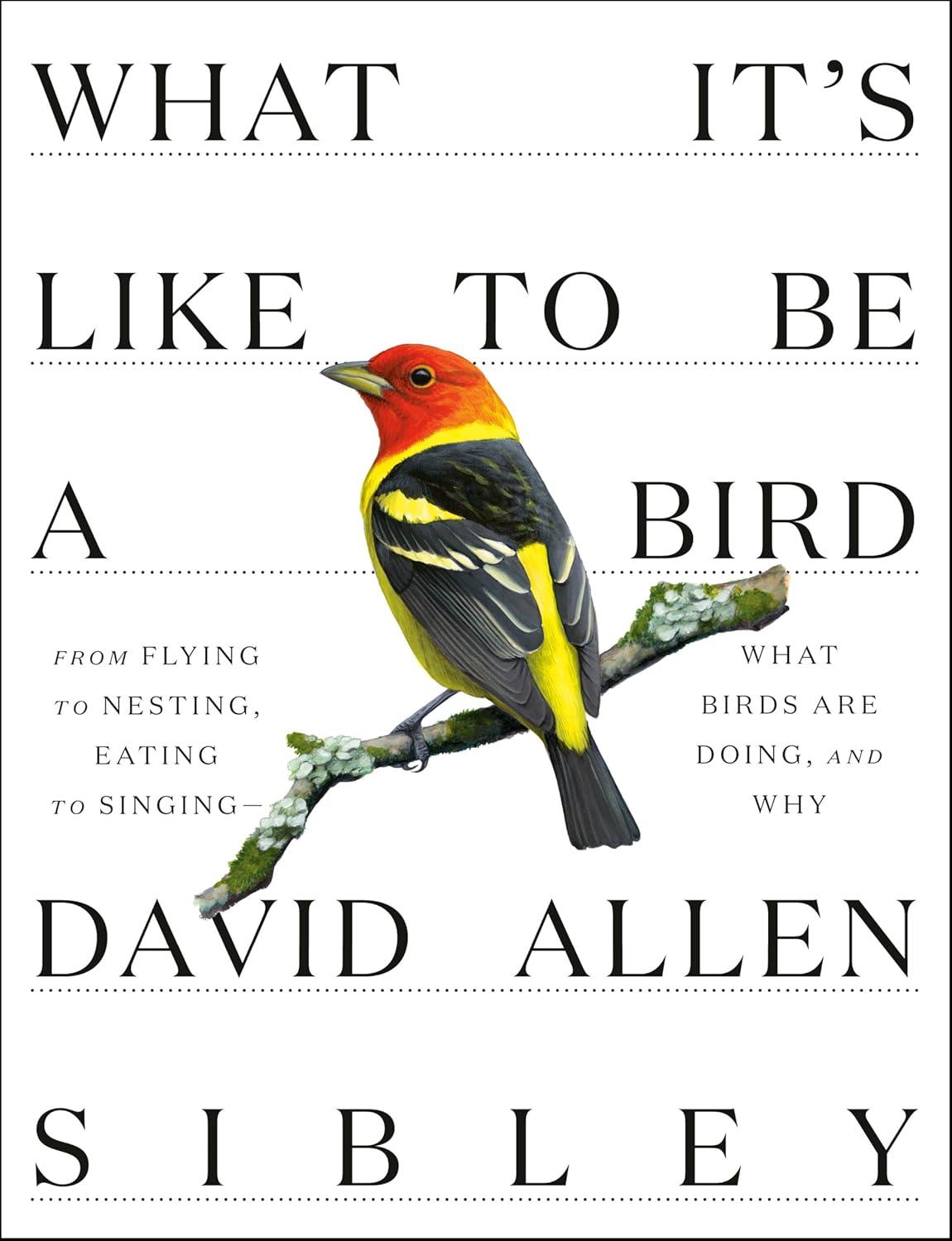 Fly vs Nest: Surprising Bird Behaviors (Book Showdown)