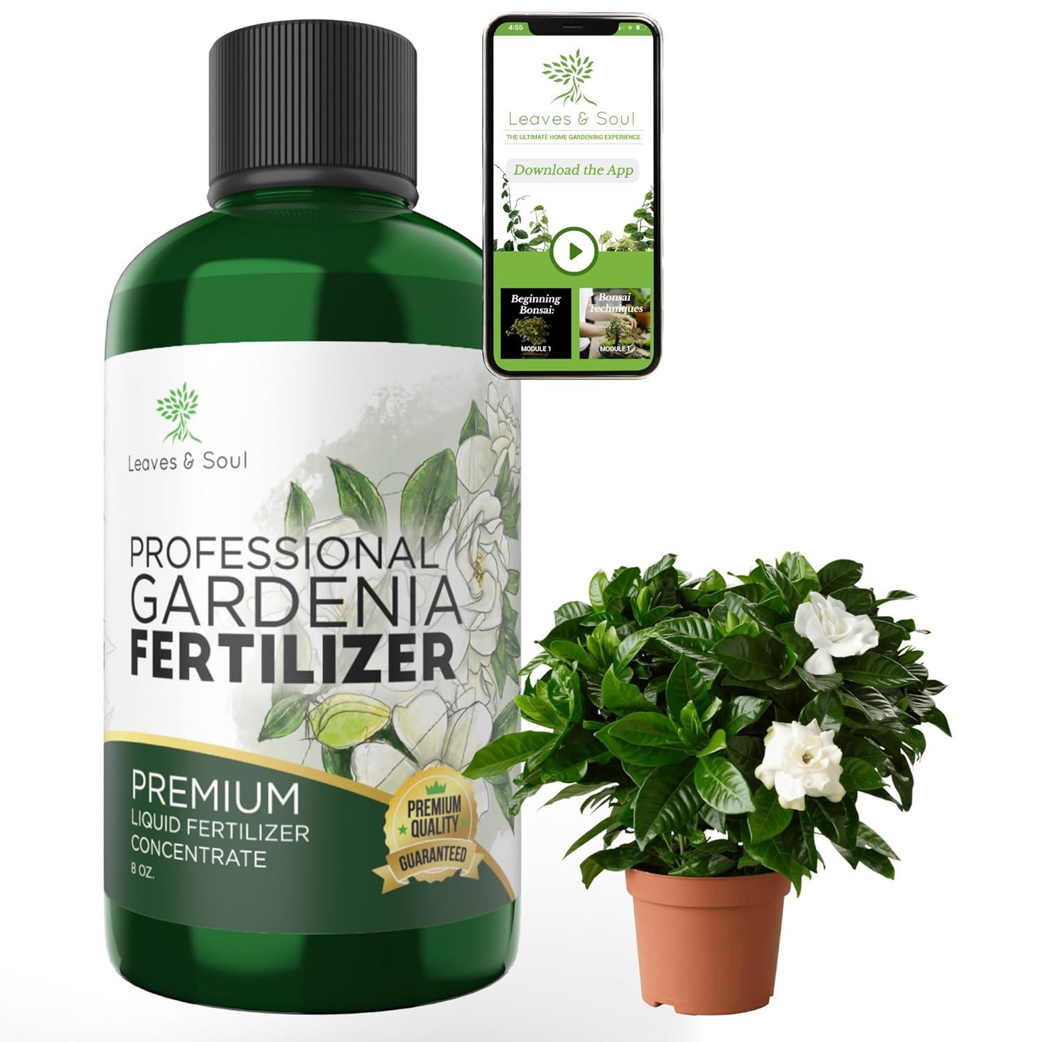 Surprising Gardenia Fertilizer Showdown!