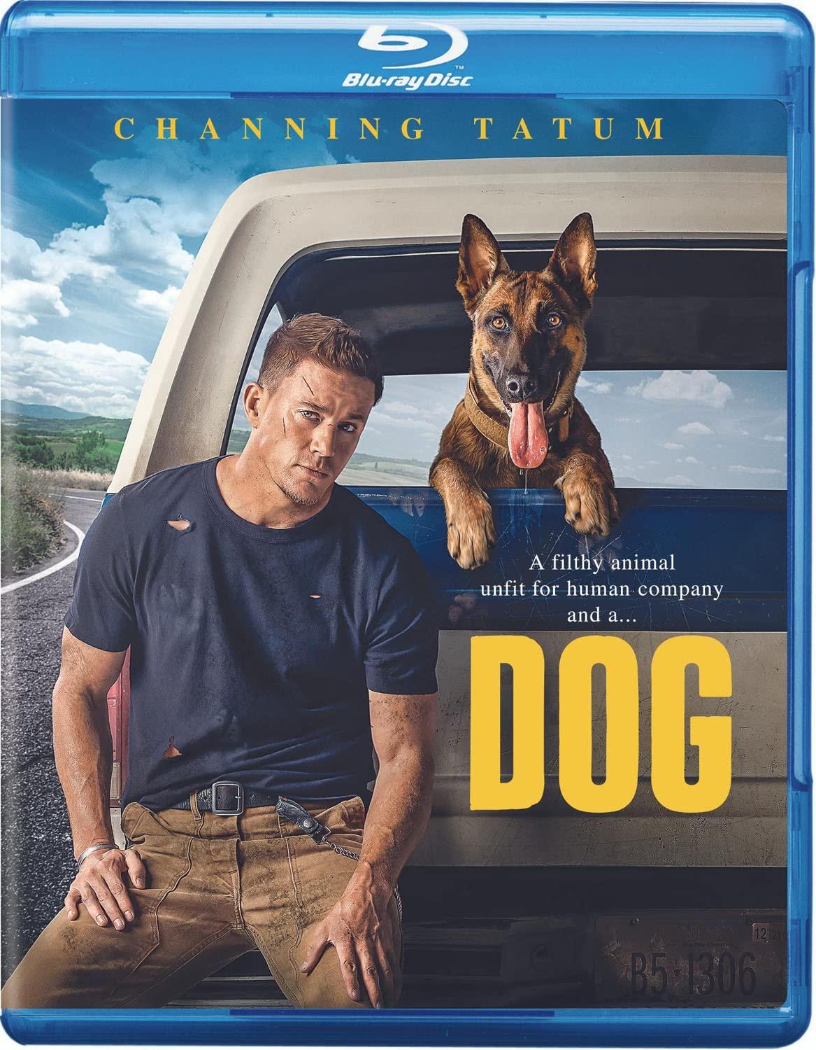 Blu-ray Dog Showdown: Tested Features, Use Case Insight