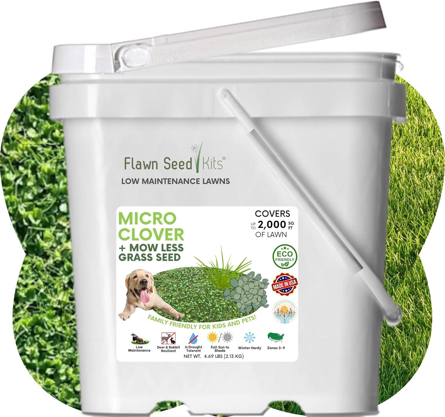 Low Maintenance Lawn: Surprising Insight on Micro Clover vs. Grass