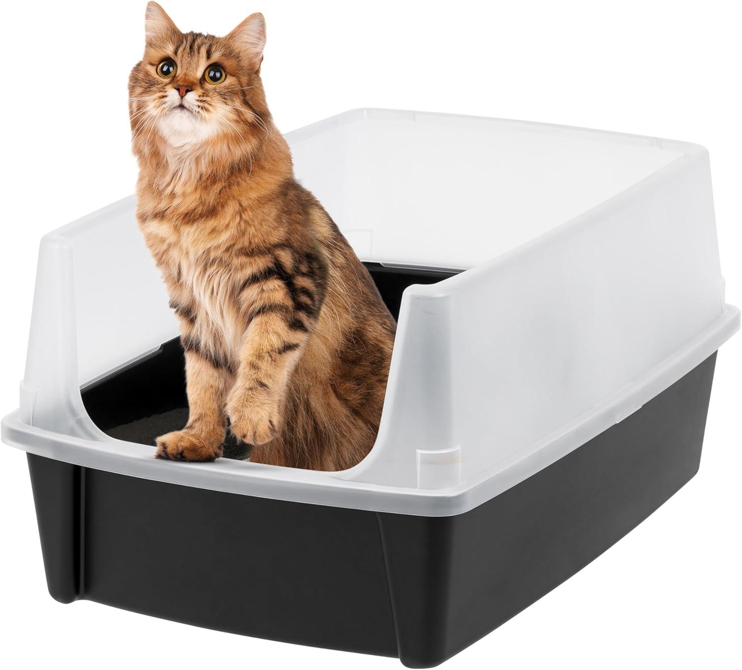 Big Cat-tested Versus Tiny mess: IRIS USA Litter Box showdown