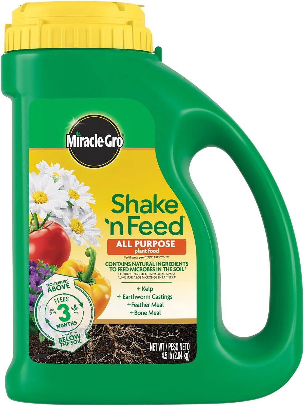 Surprising NPK Benefit for Houseplants… Tested!