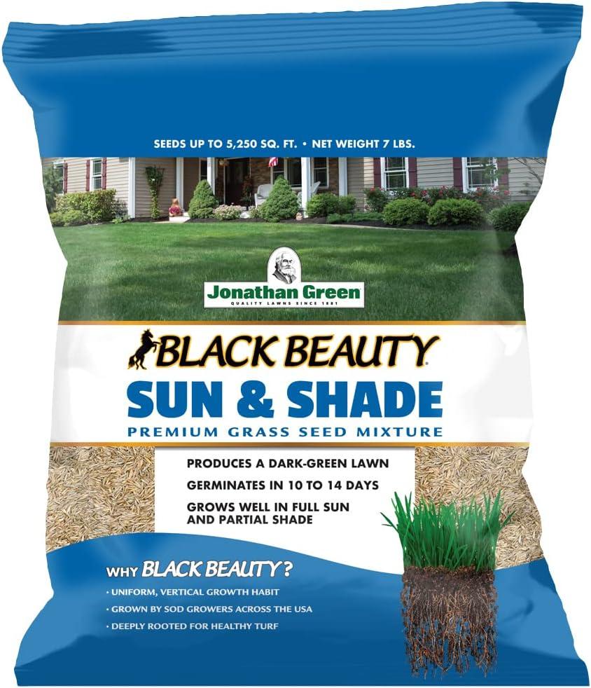 Jonathan Green Black Beauty vs Perennial Ryegrass: Tested, Sun & Shade Win