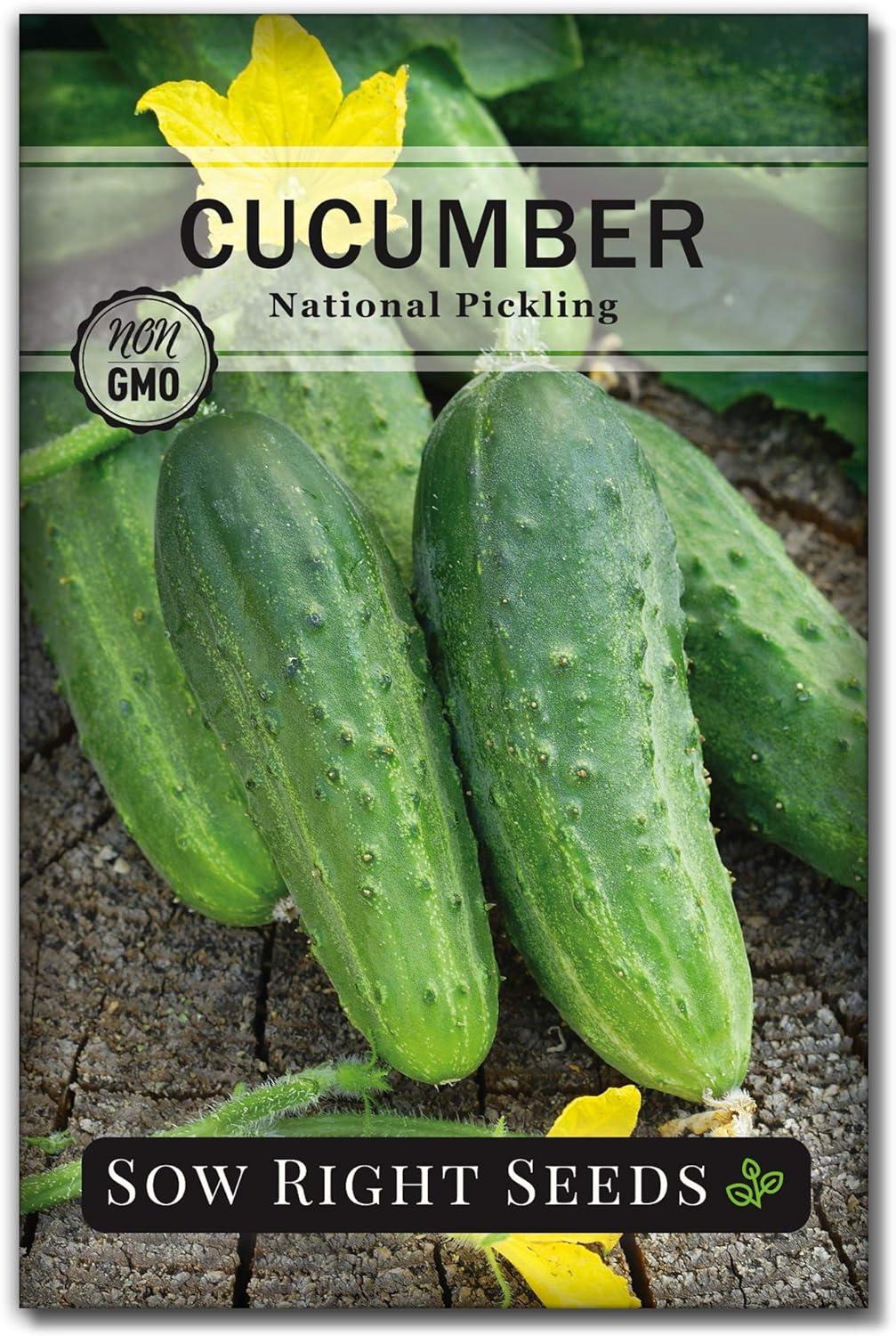 Heirloom Pickles Versus Tested Seeds: Surprising Home Garden Win