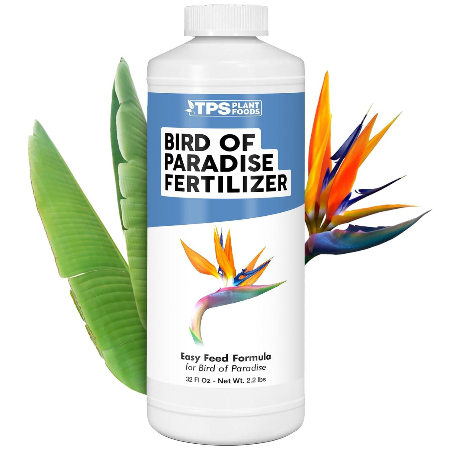 Surprising Boost: Strelitzia vs Bird of Paradise Fortified Growth Tested