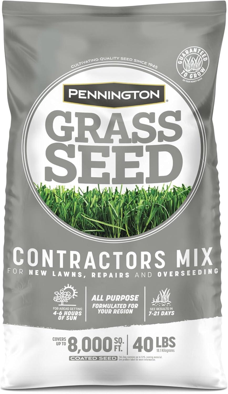 Surprising Water Savings Showdown: Grass Seed Picks… tested!