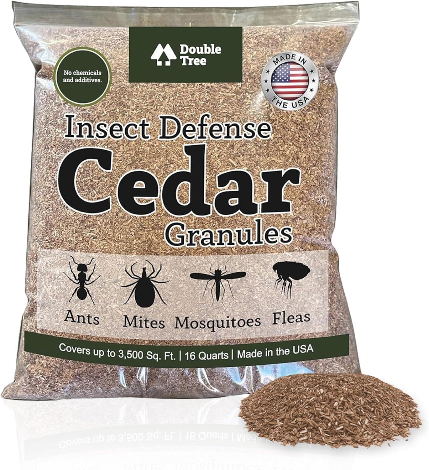 Spiders Versus Pests: MaxGuard's Non-Toxic Trap Showdown