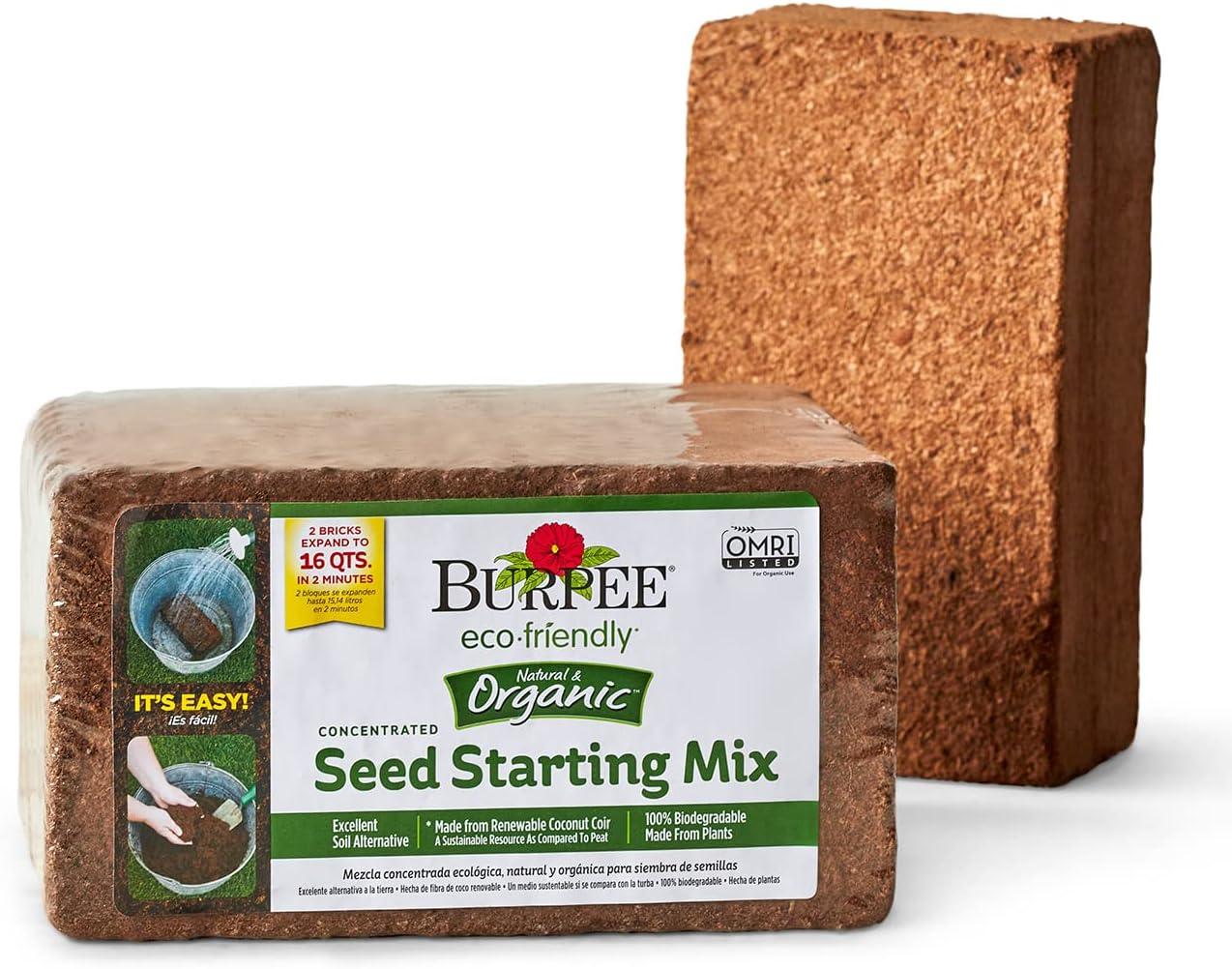 Coir Versus Soil: Tested Mix Grows Amazing Seedlings