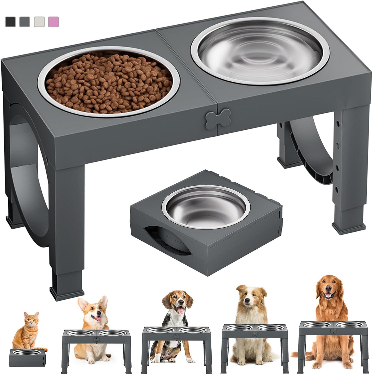 Elevated vs. Mats: Pet Bowl Showdown, Amazing Insight