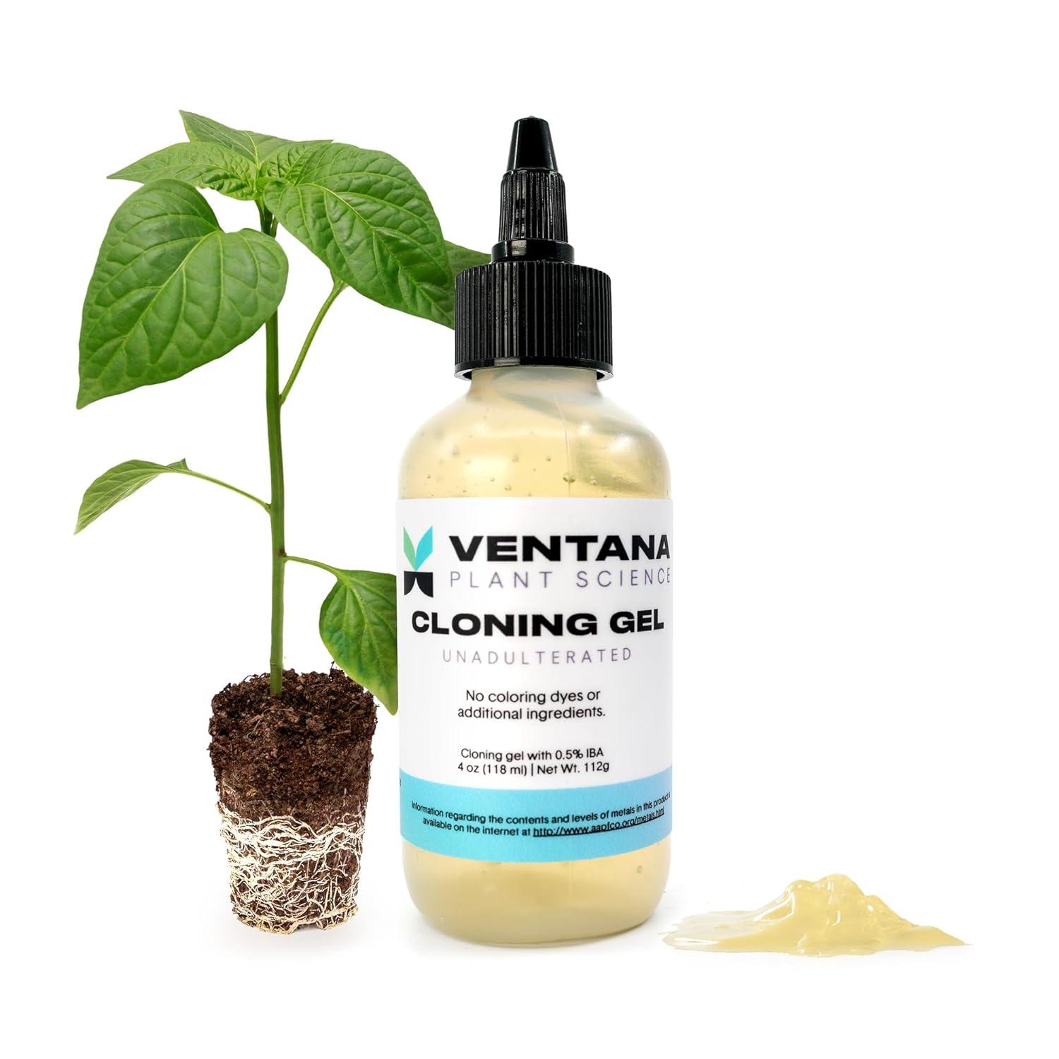 Cloning Gel vs. Paste: Showdown of Rapid Rooter Benefits, Tested for Growth
