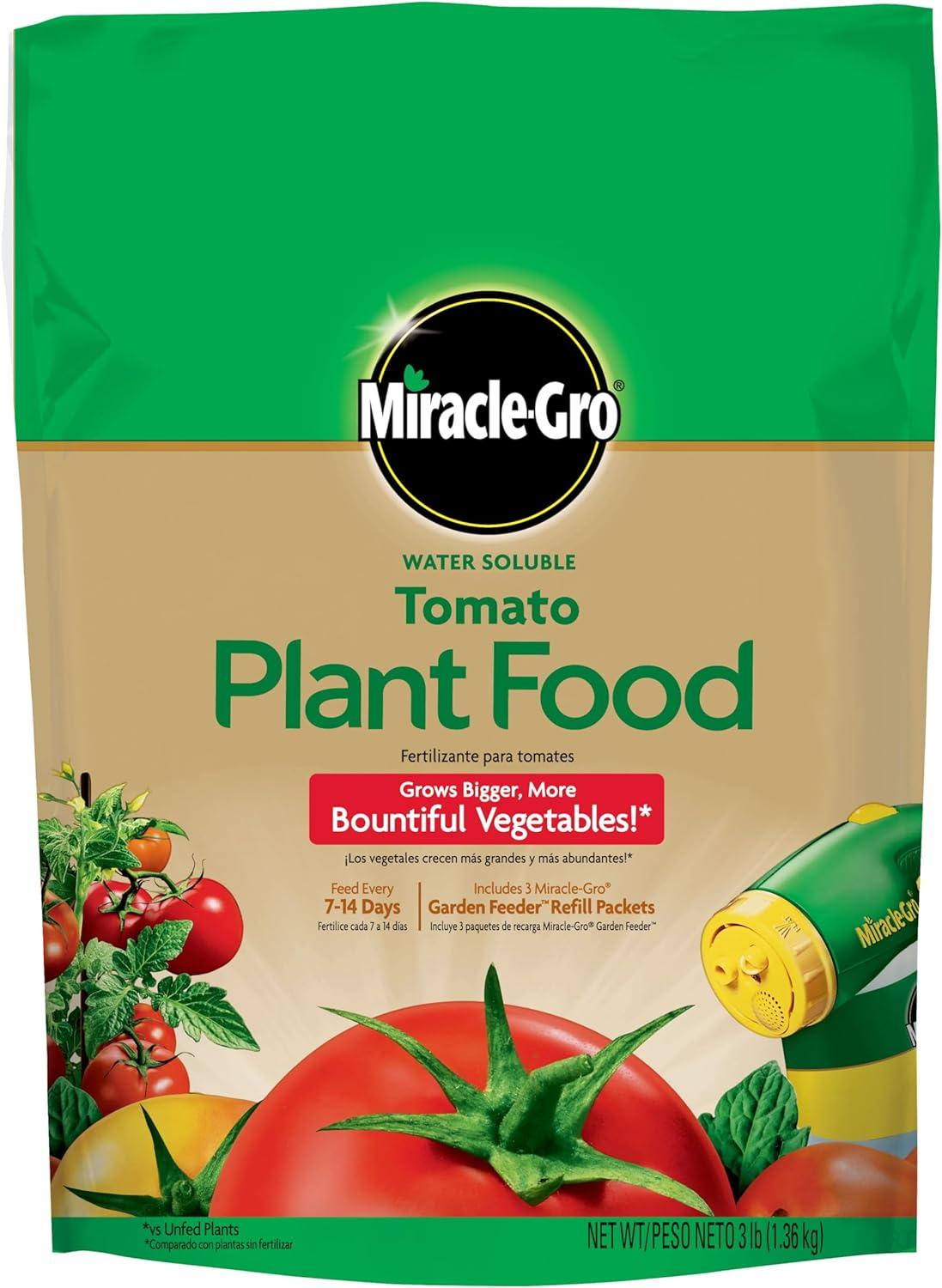 Miracle-Gro Versus Everything: Tomato Showdown Tested... But Don’t Miss a Drop!