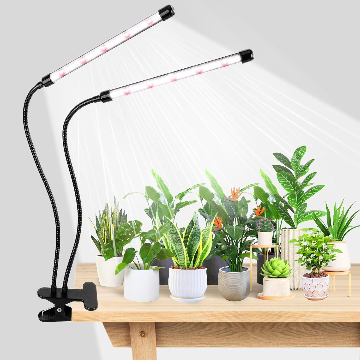 Grow Light Showdown: Surprising Indoor Plant Insights