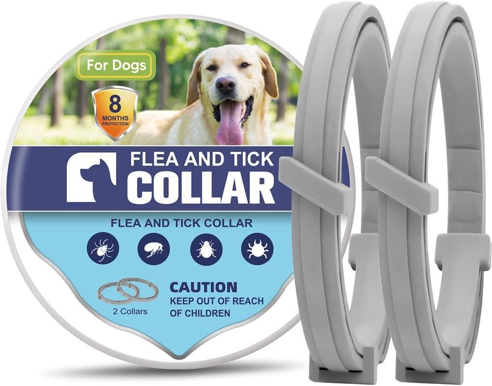 Flea vs Tick Showdown: Best Collar For Dogs This Season