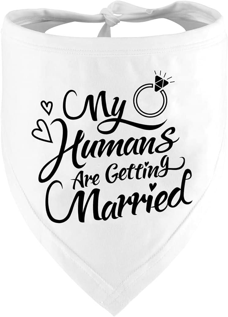 Funny Wine Glass: Tested For Clever Fiancee Gift