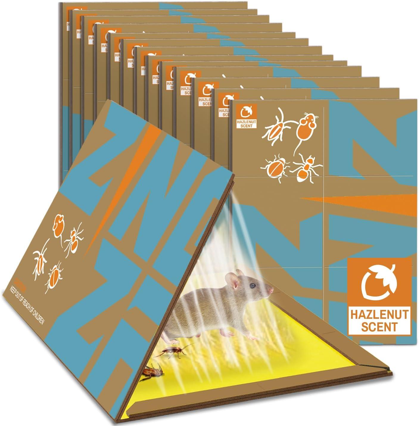 Sticky Traps Board: Surprising Insight, Tested vs glue scent...Fast Catch for Pests