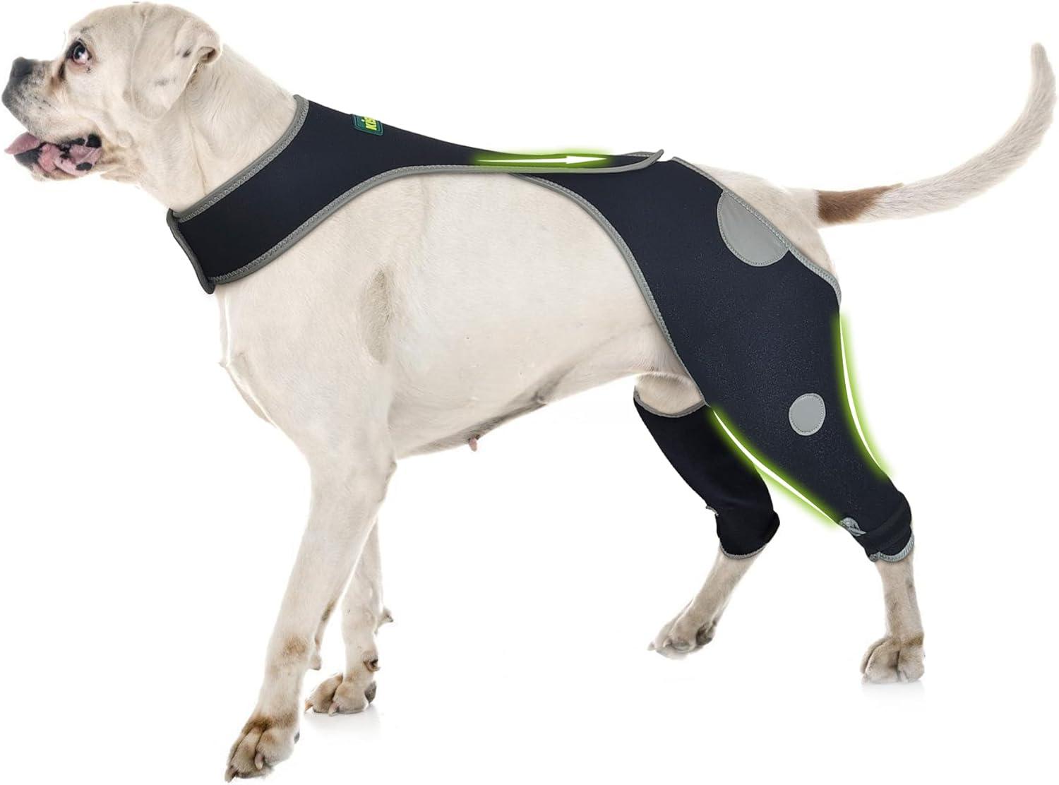 Discover Dog Recovery Sleeve: Tested Protection Against Licking, Reflective Insulation, Wound Care Medium… Perfect for Pets