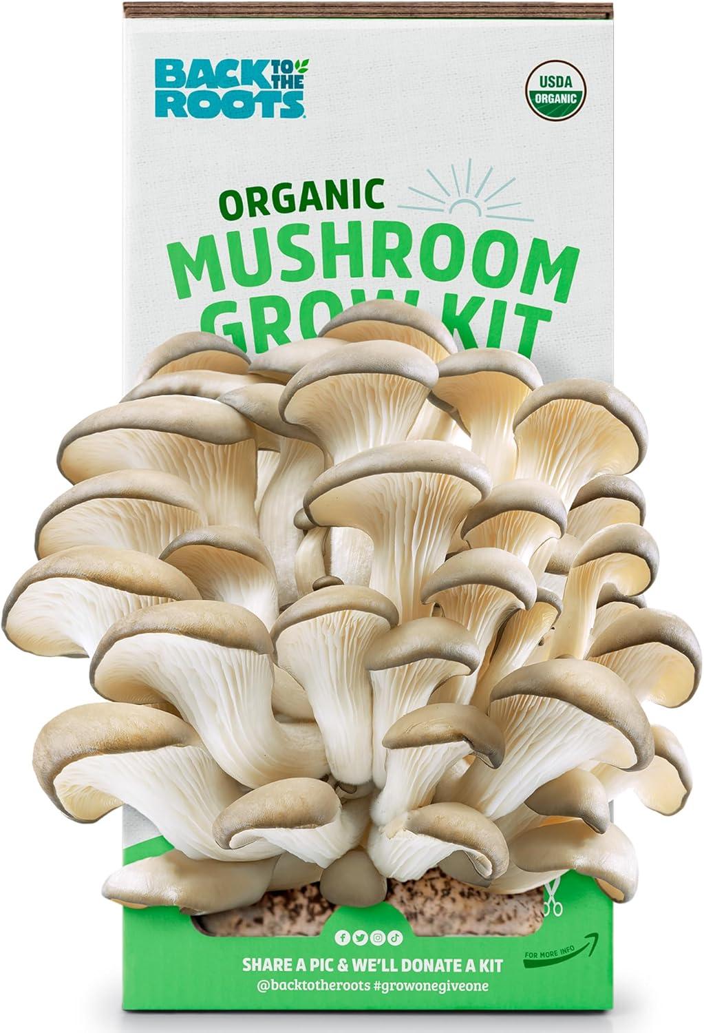 Oyster Grow Kit Versus.store Harvest In 10… Tested for Surprising Insight