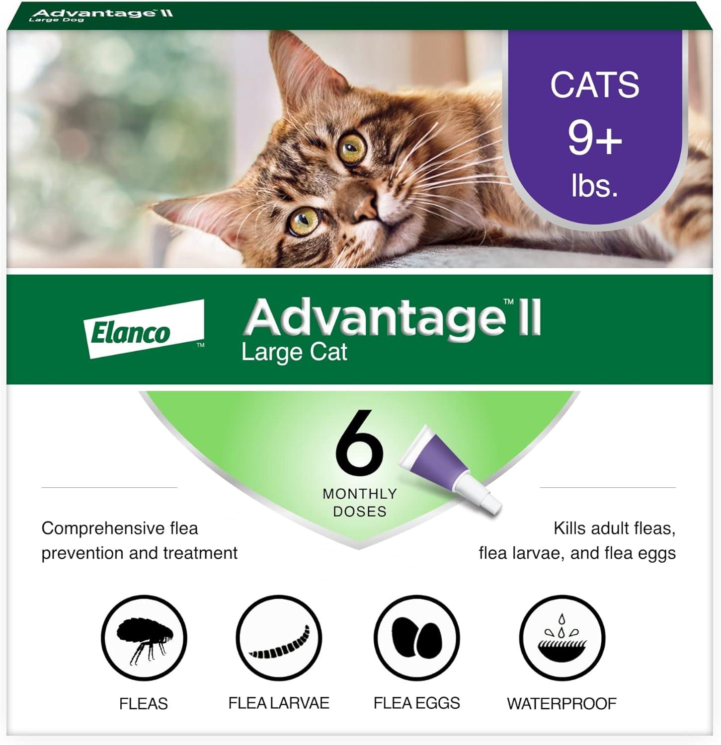Frontline Plus Versus Capstar: Tested Cat Protection
