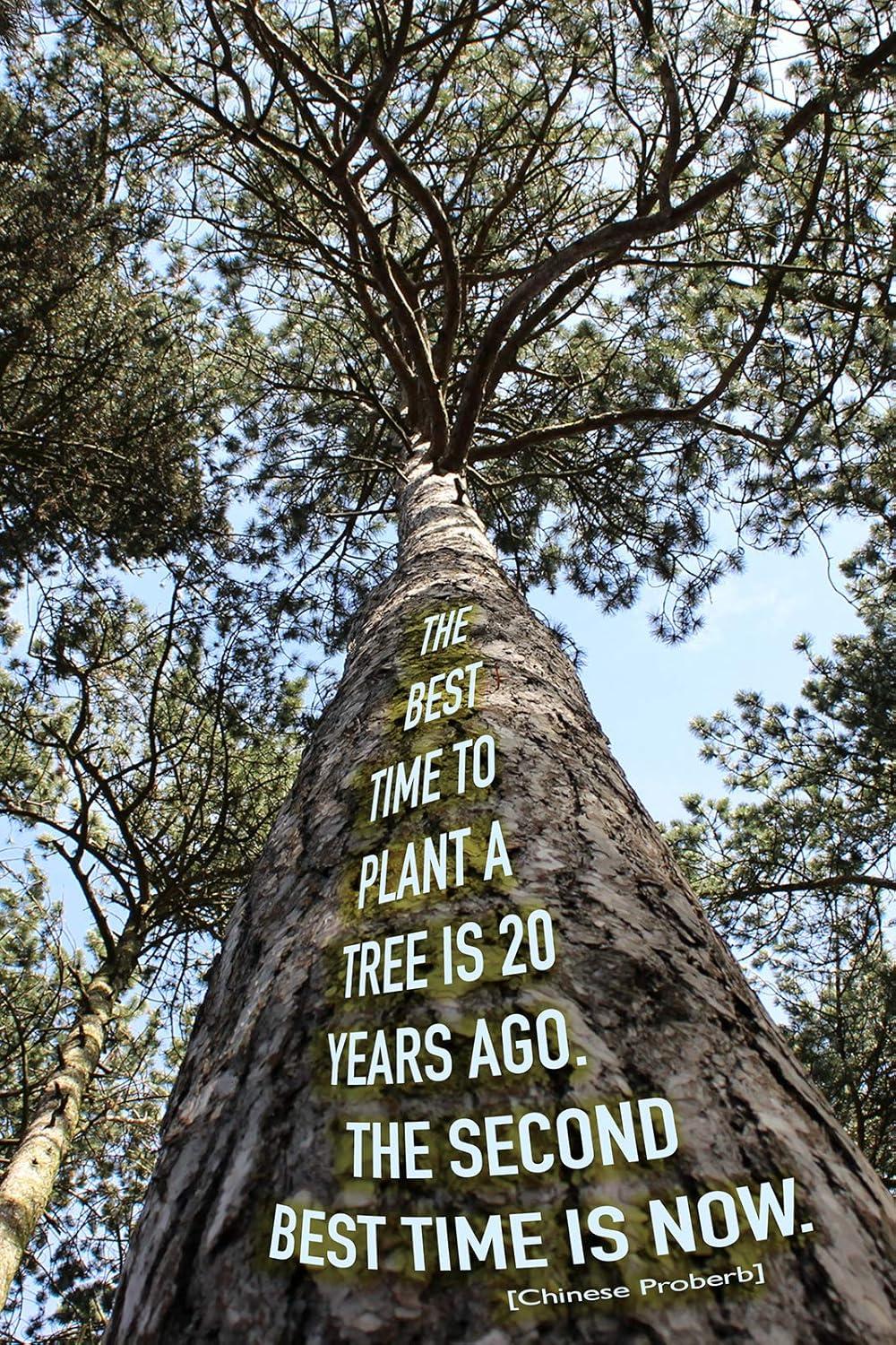 Ancient Wisdom, Modern Art: Chinese Proverb Tree Poster... Tested Beauty for Home