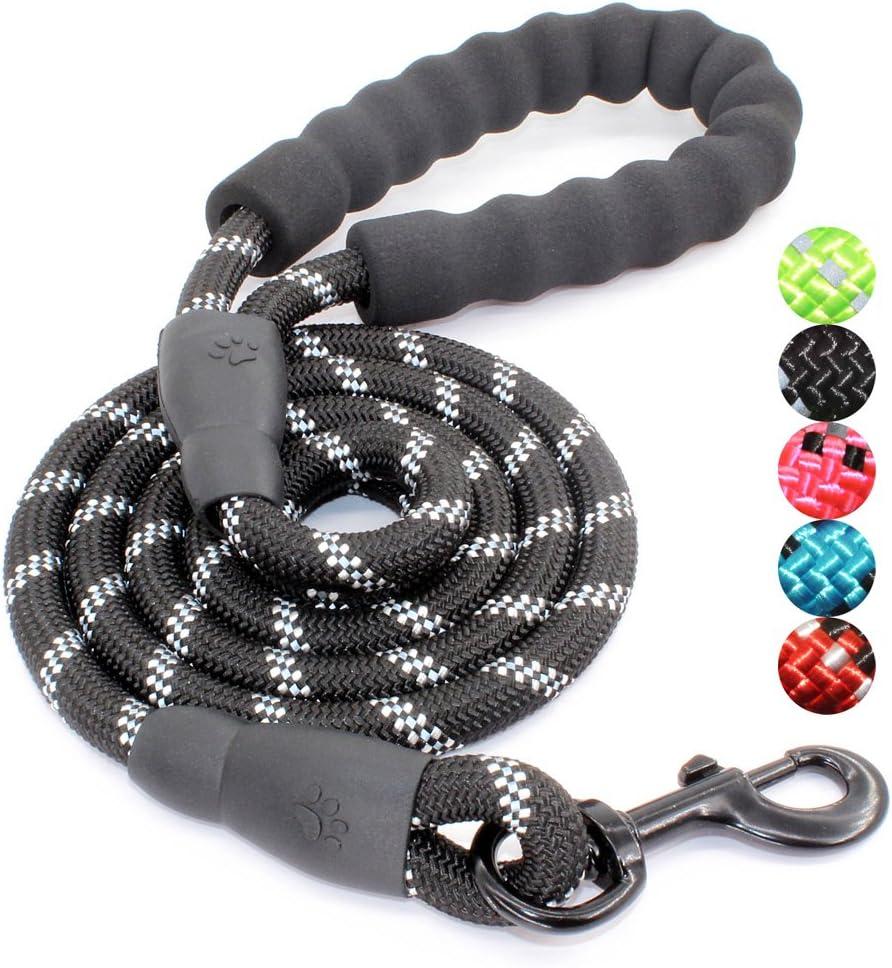 Leashed Showdown: Tested Durability & Grip for Large Breeds