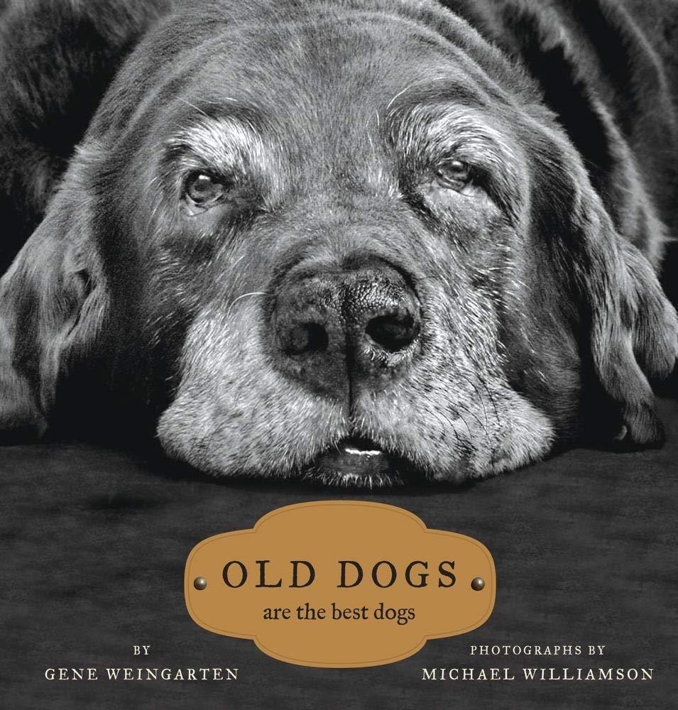 Old Dogs Tested Versus Trending: Best Picks for Buyers...Seriously!