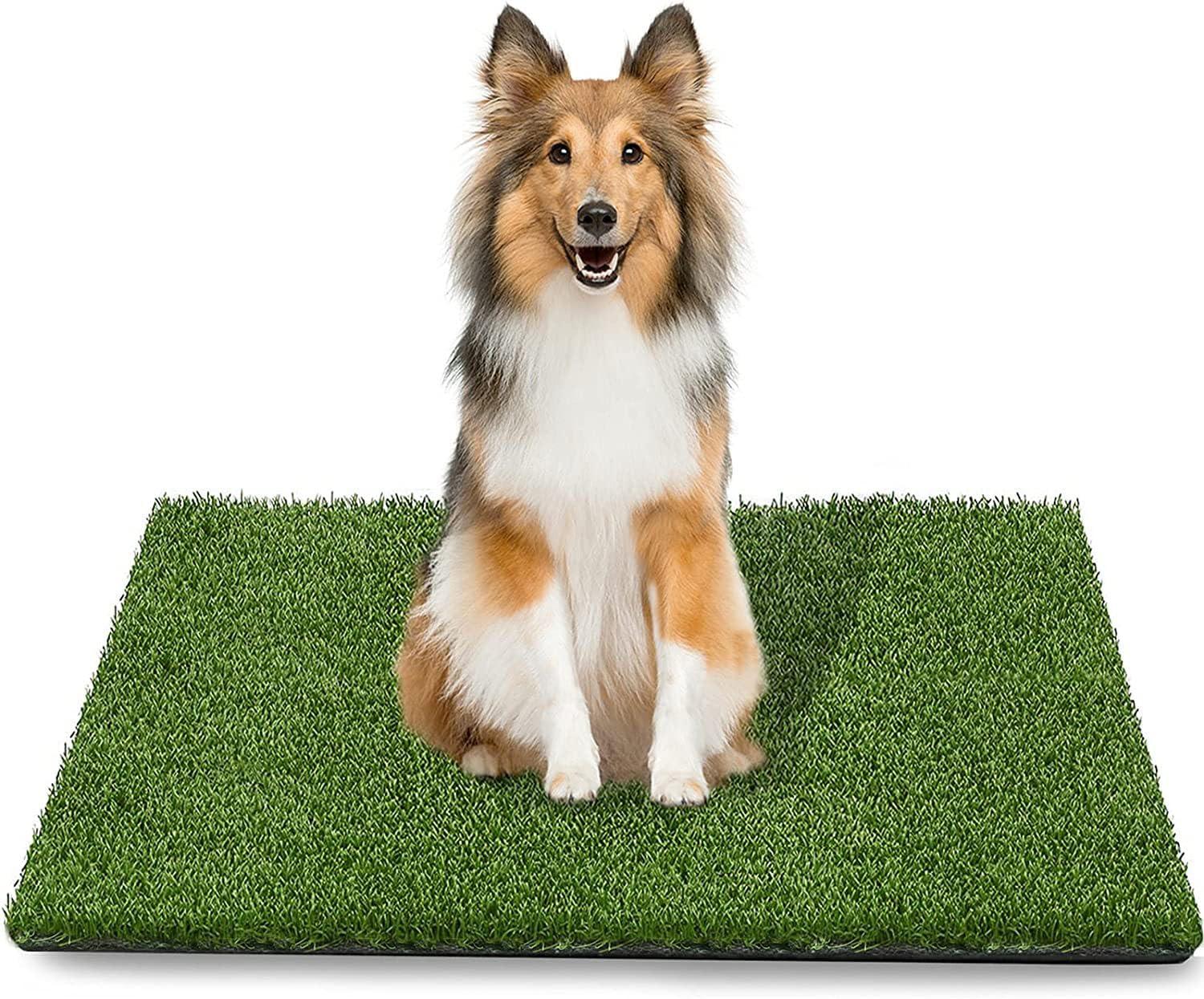 Comparing Potty Mats: Surprising Insights on Best Fake Grass for Pet Drainage…and Easy Cleanup!
